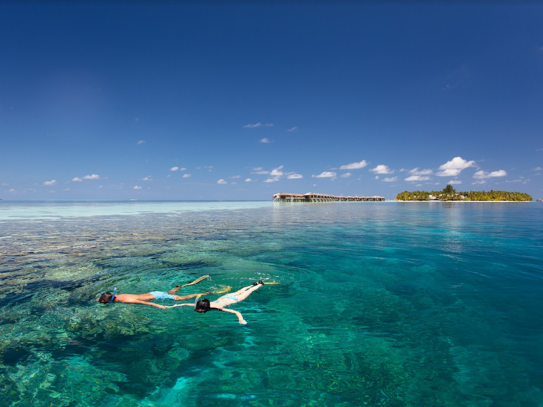 Vilamendhoo Island Resort & Spa 4