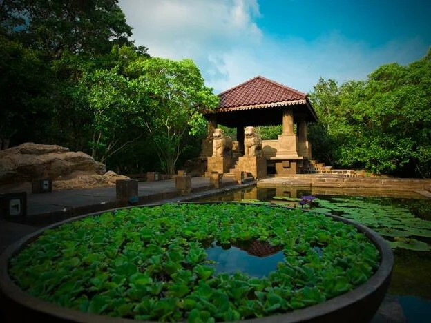 Forest Rock Garden Resort 2