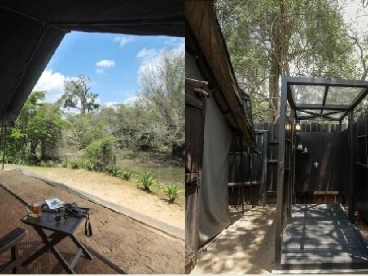 Leopard Trails Wilpattu 2