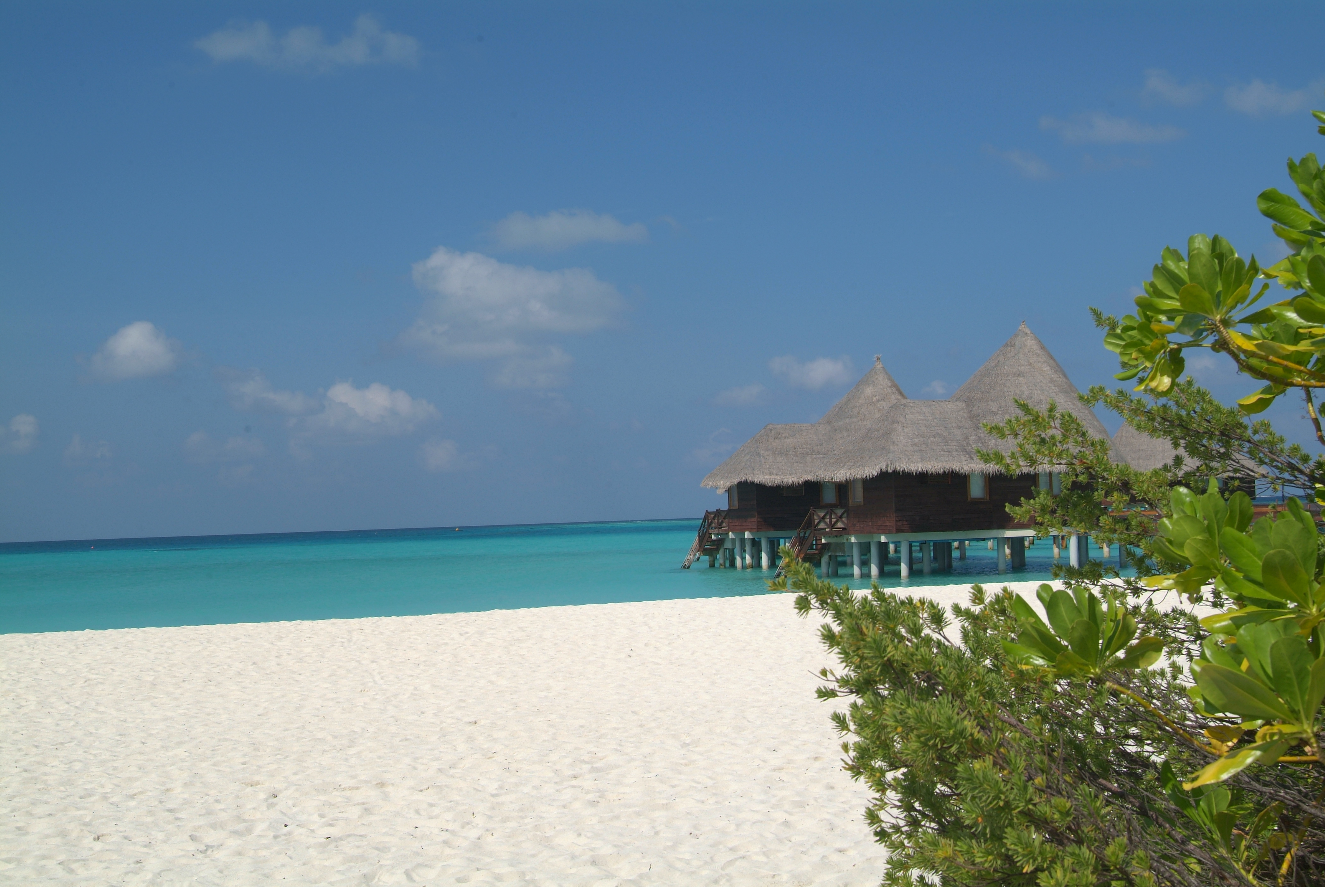 Coco Palm Dhuni Kolhu 39
