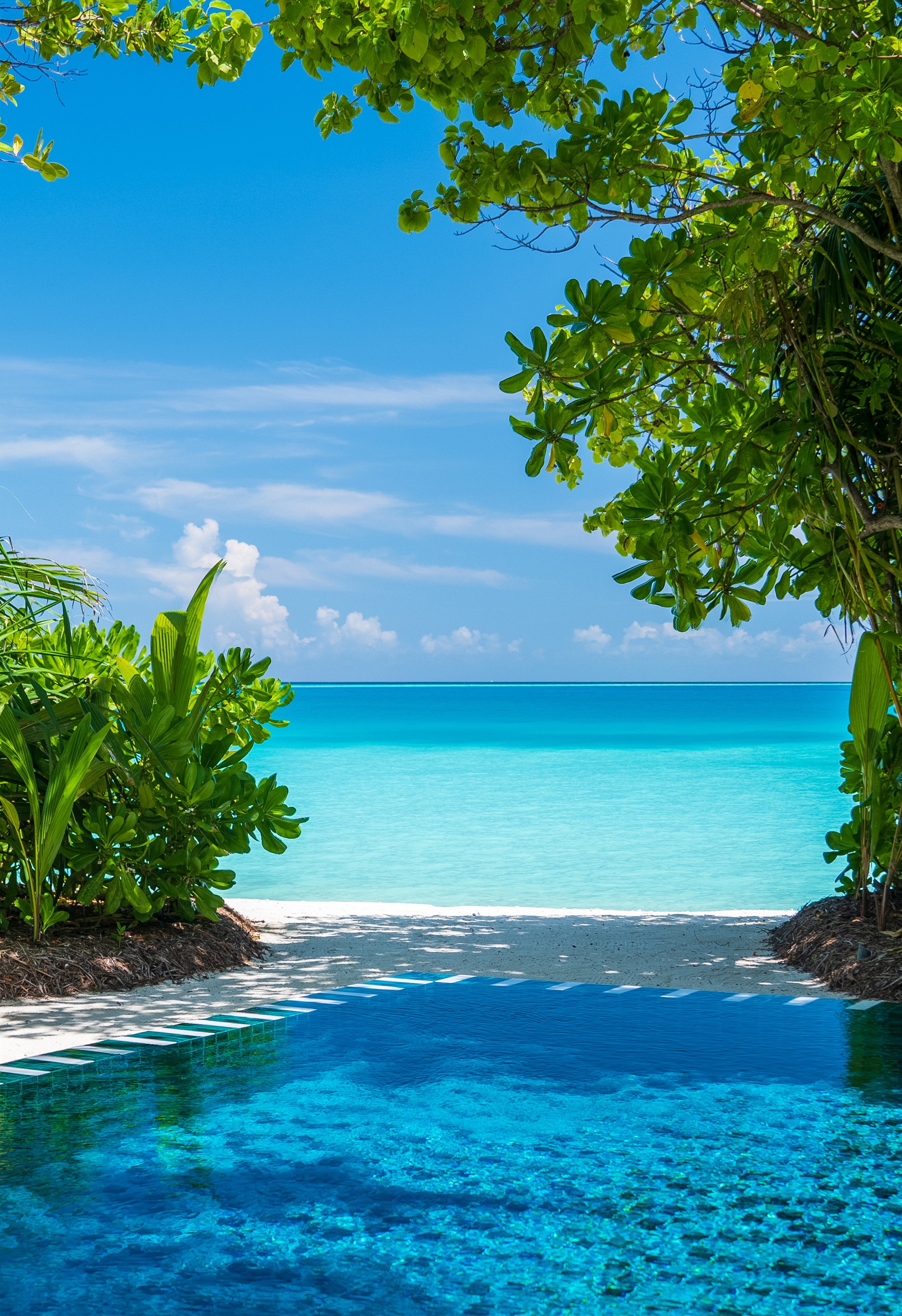 Finolhu, a Seaside Collection Resort 55
