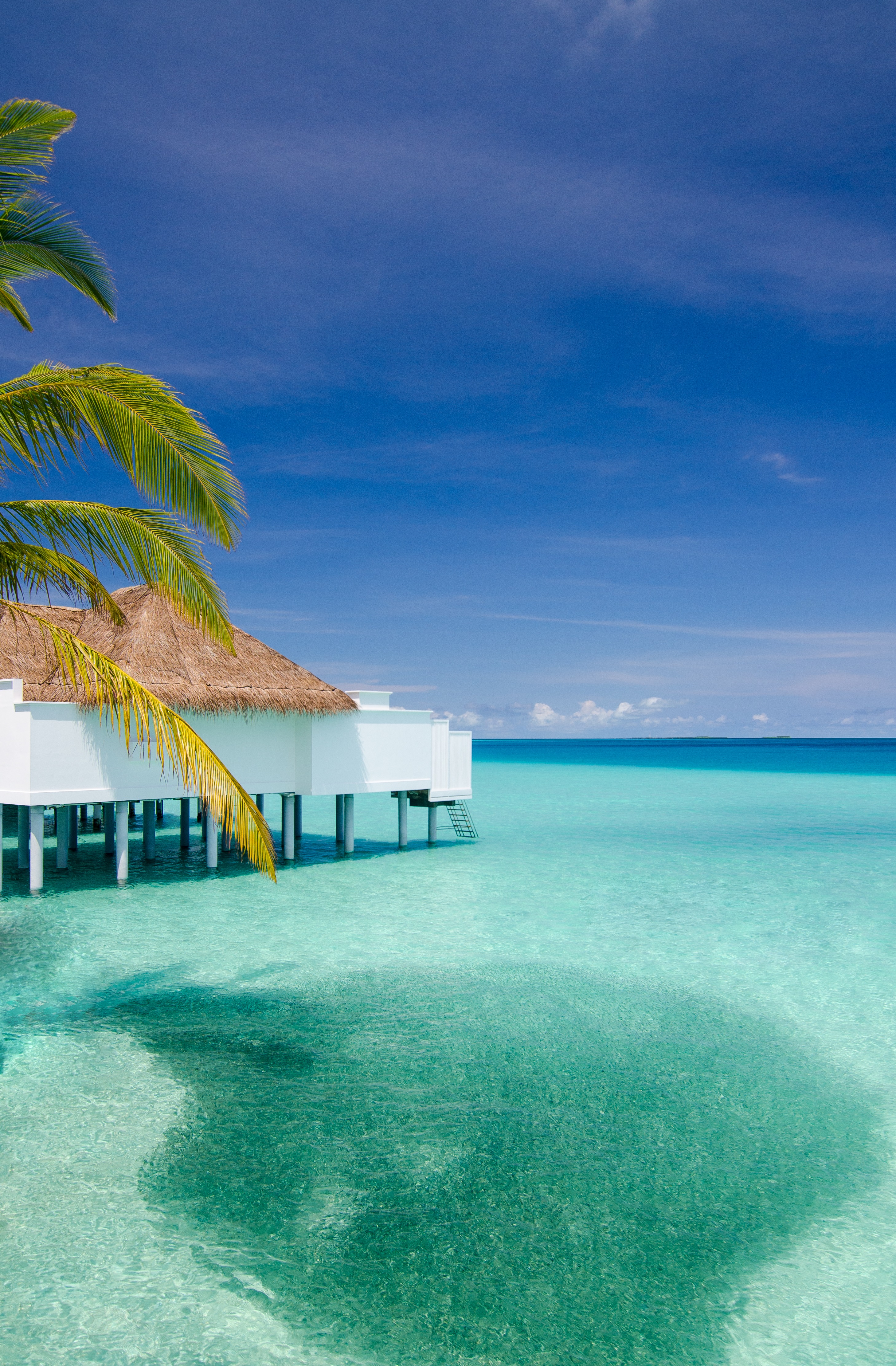 Finolhu, a Seaside Collection Resort 32