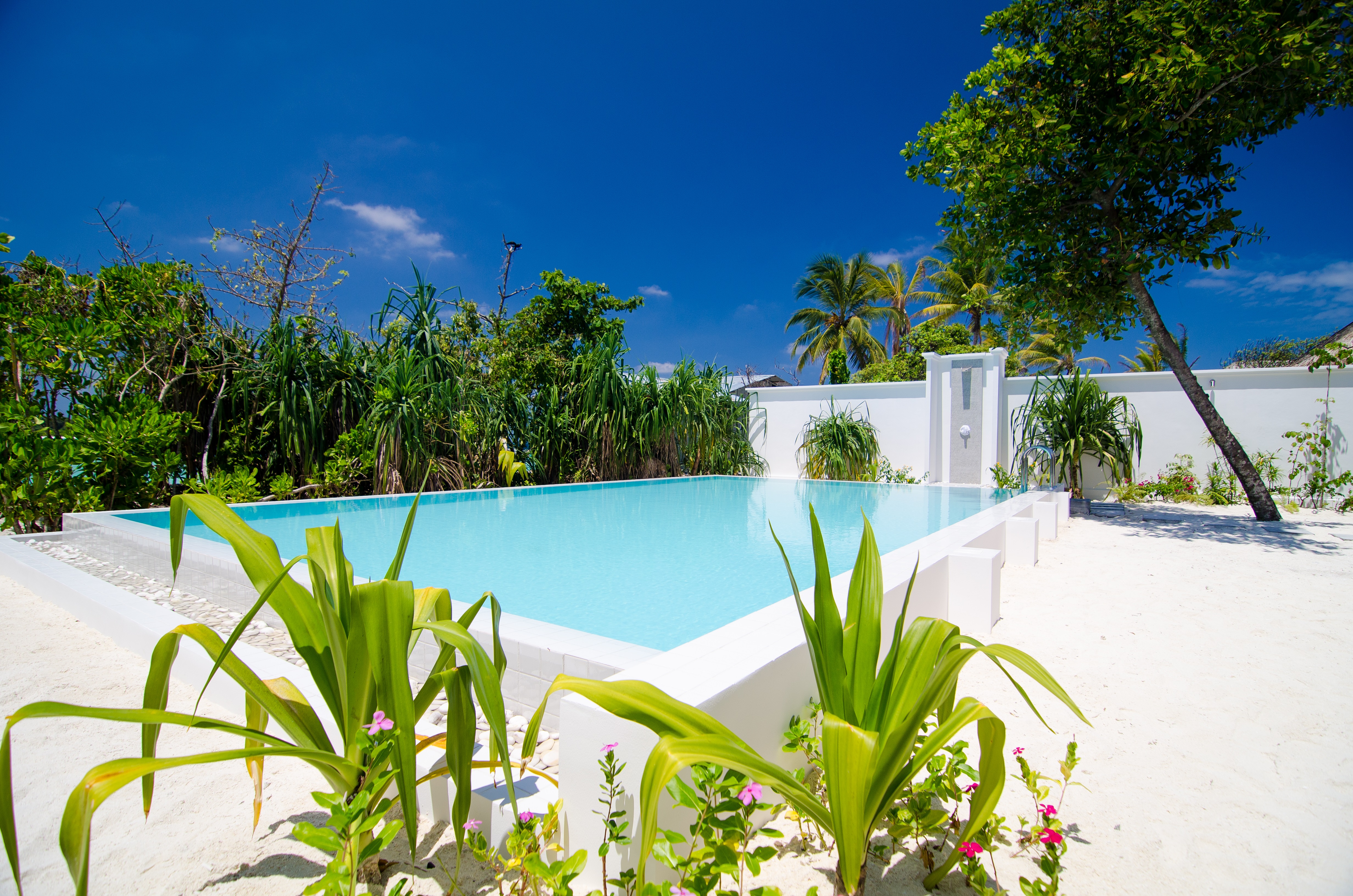Finolhu, a Seaside Collection Resort 100