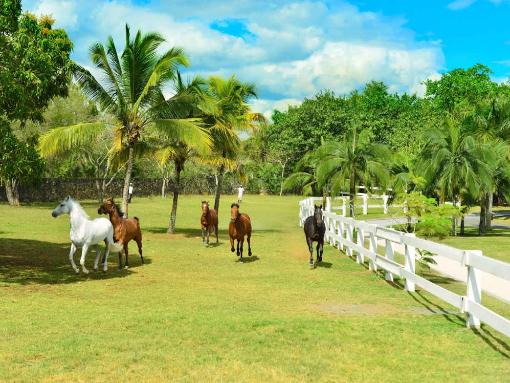 Maritim Resort & Spa Mauritius 5