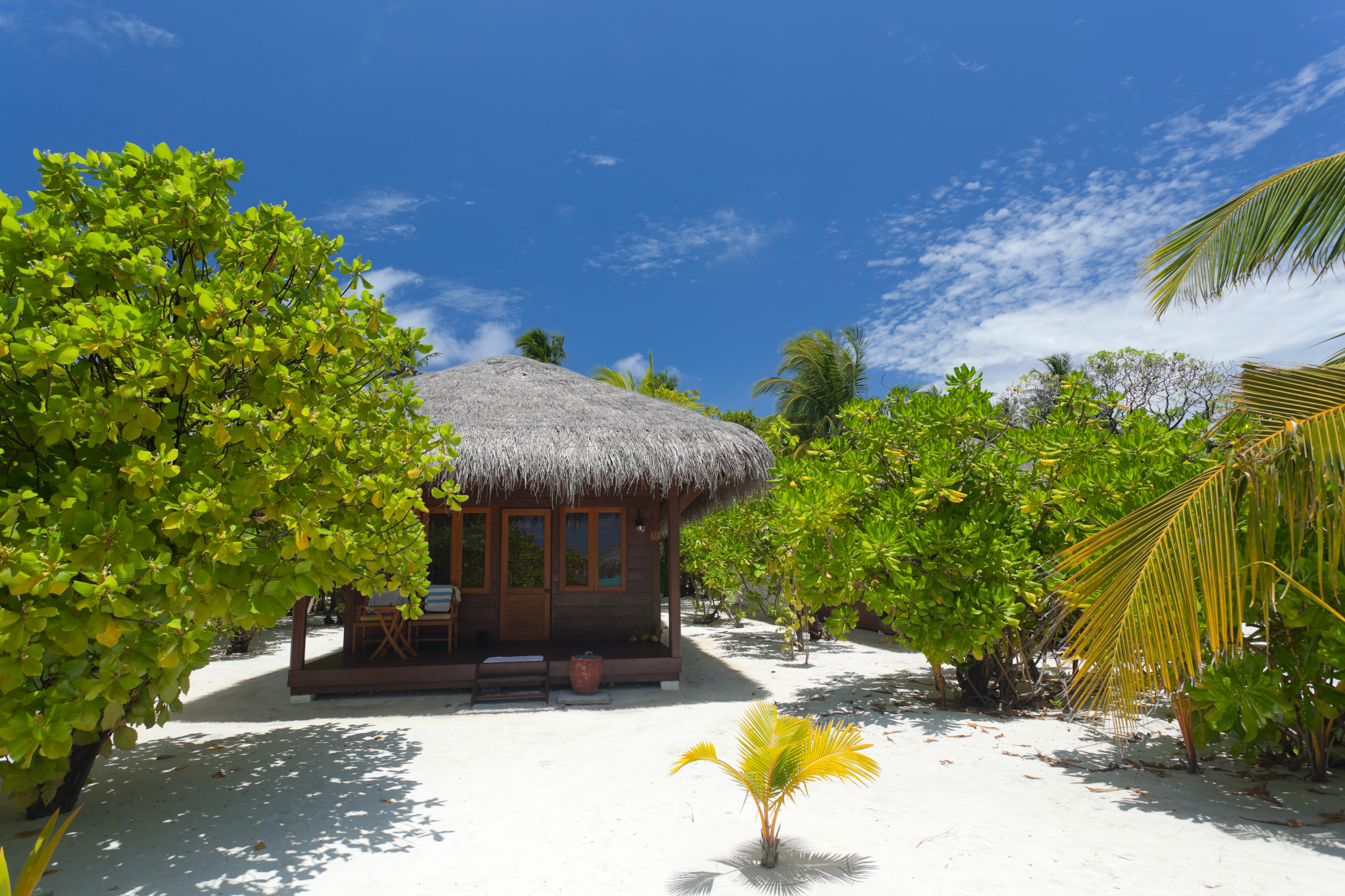 Filitheyo Island Resort 39