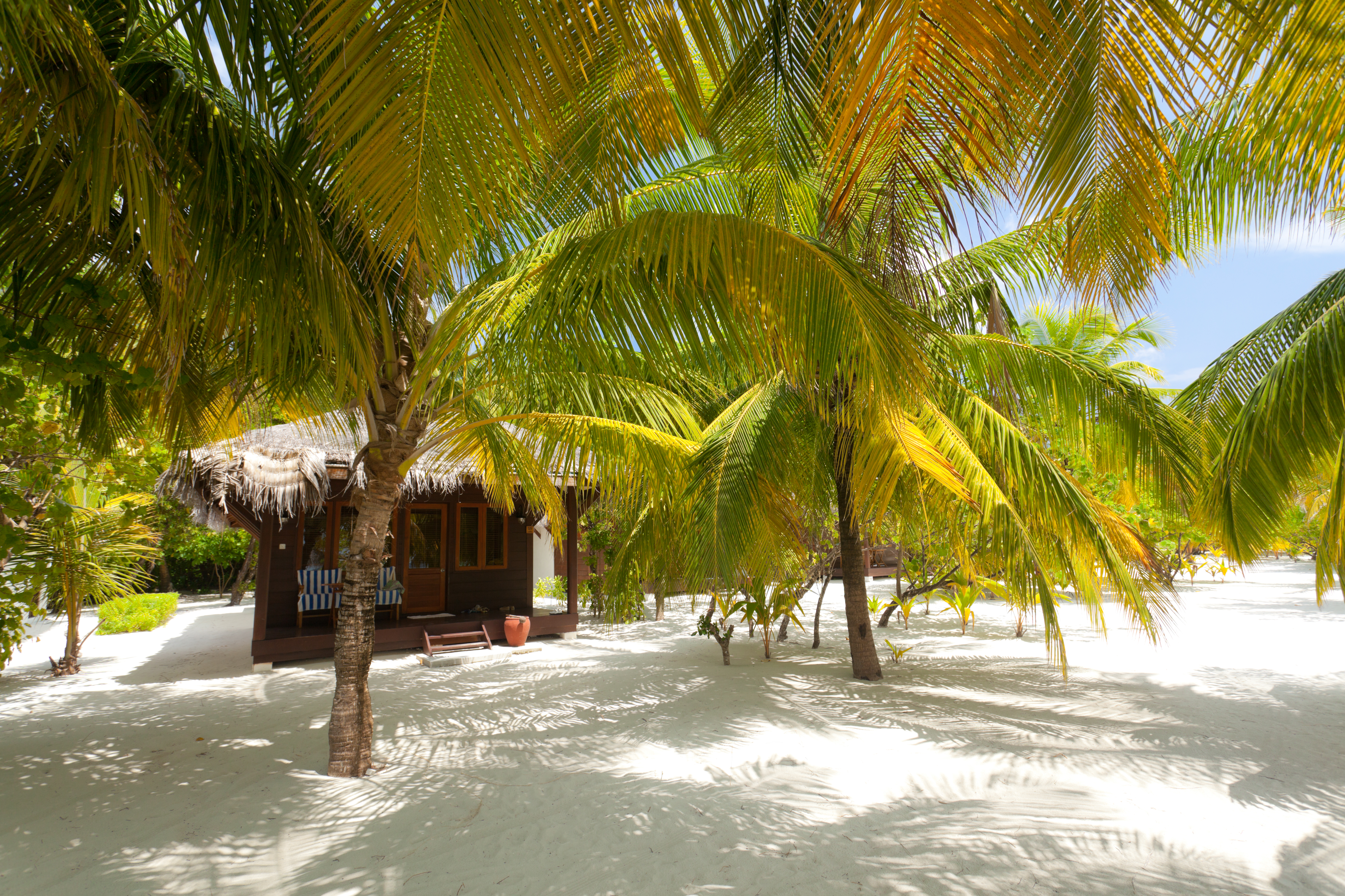 Filitheyo Island Resort 59