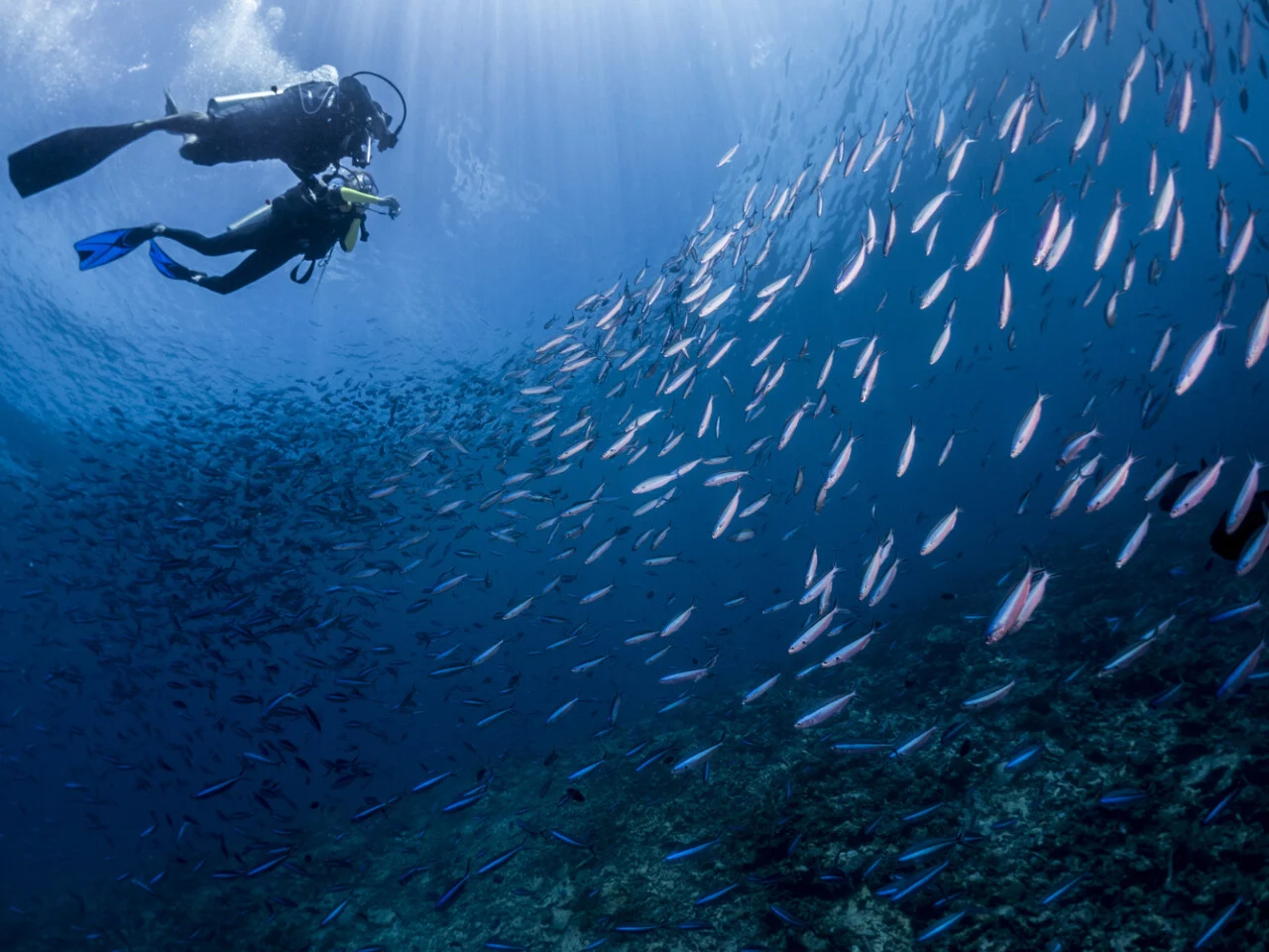 Mercure Maldives Kooddoo Resort 2