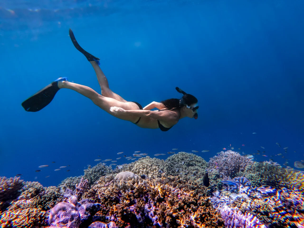 Pullman Maldives Maamutaa 5