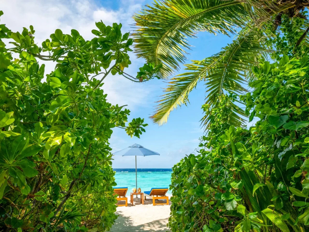 The Halcyon Private Isles Maldives 5