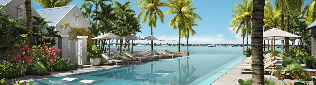 A palm-lined resort pool with sun loungers and parasols overlooking the ocean.