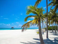 Hondaafushi Island Resort 1