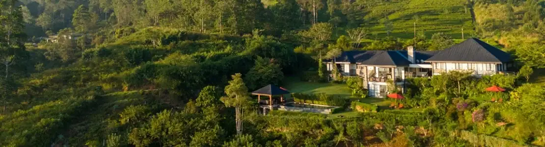 Camellia Hills، الصورة 1
