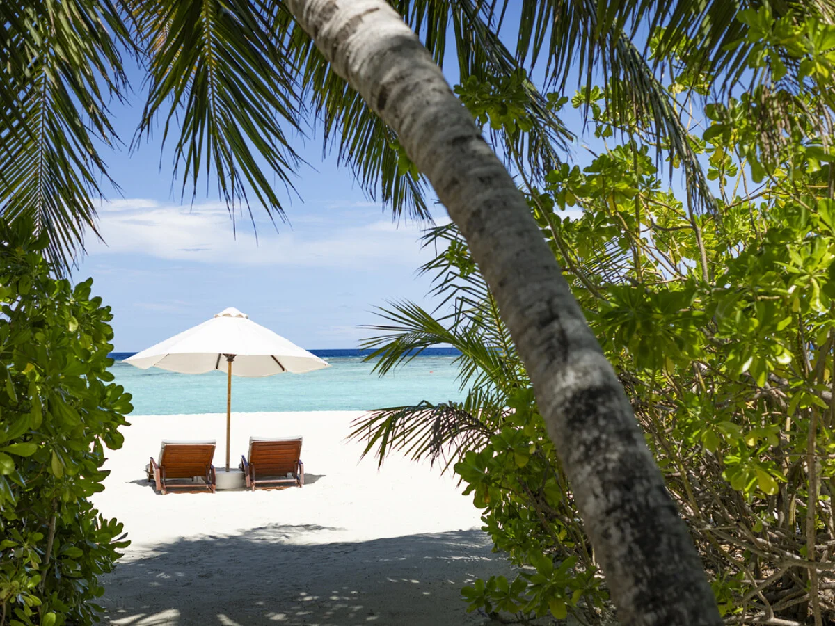 Niva Velassaru Maldives 5