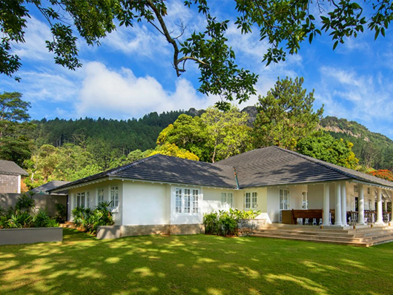 W15 Hanthana Estate Kandy 2