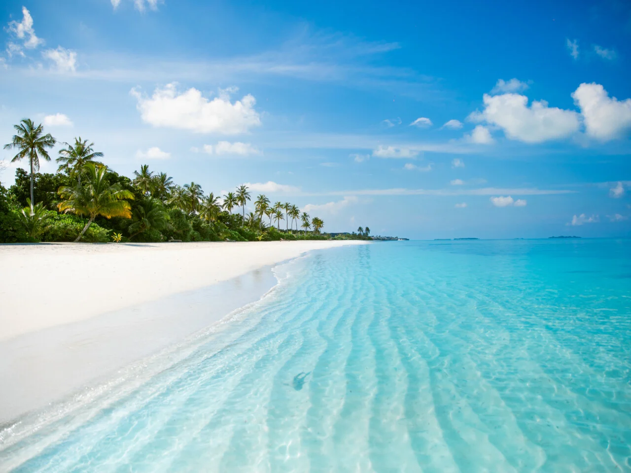Jawakara Islands Maldives 6