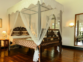 Horathapola Estate 2