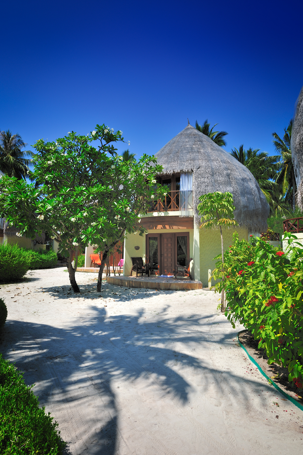 Bandos Maldives 51