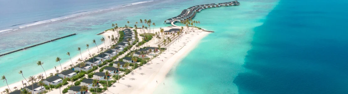 Joy Island
