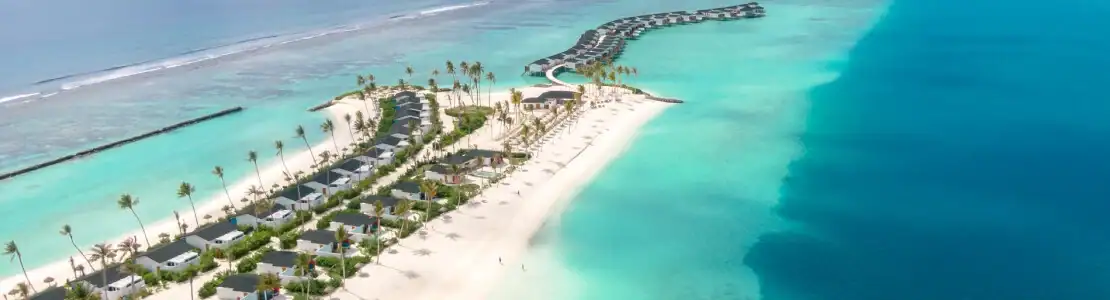 Joy Island