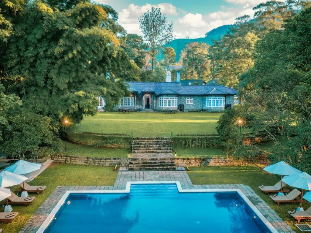 The Lavender House by Reveal 1