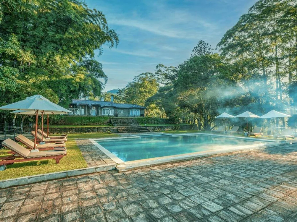 The Lavender House by Reveal 4