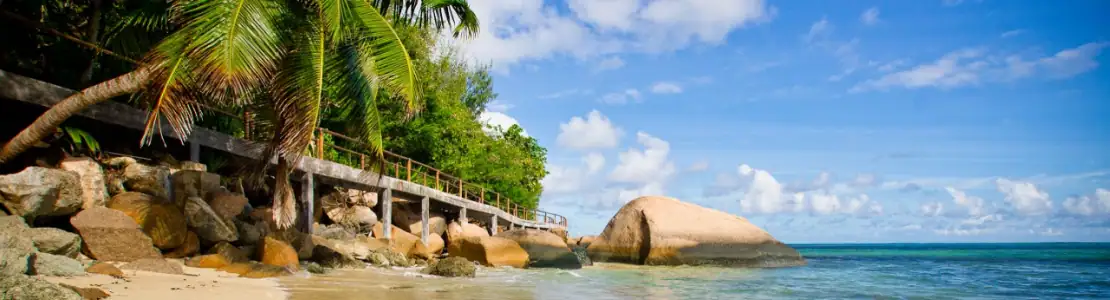 صورة: Coco de Mer Hotel & Black Parrot Suites: A palm-fringed sandy shoreline meets clear blue water beside a rocky coast.