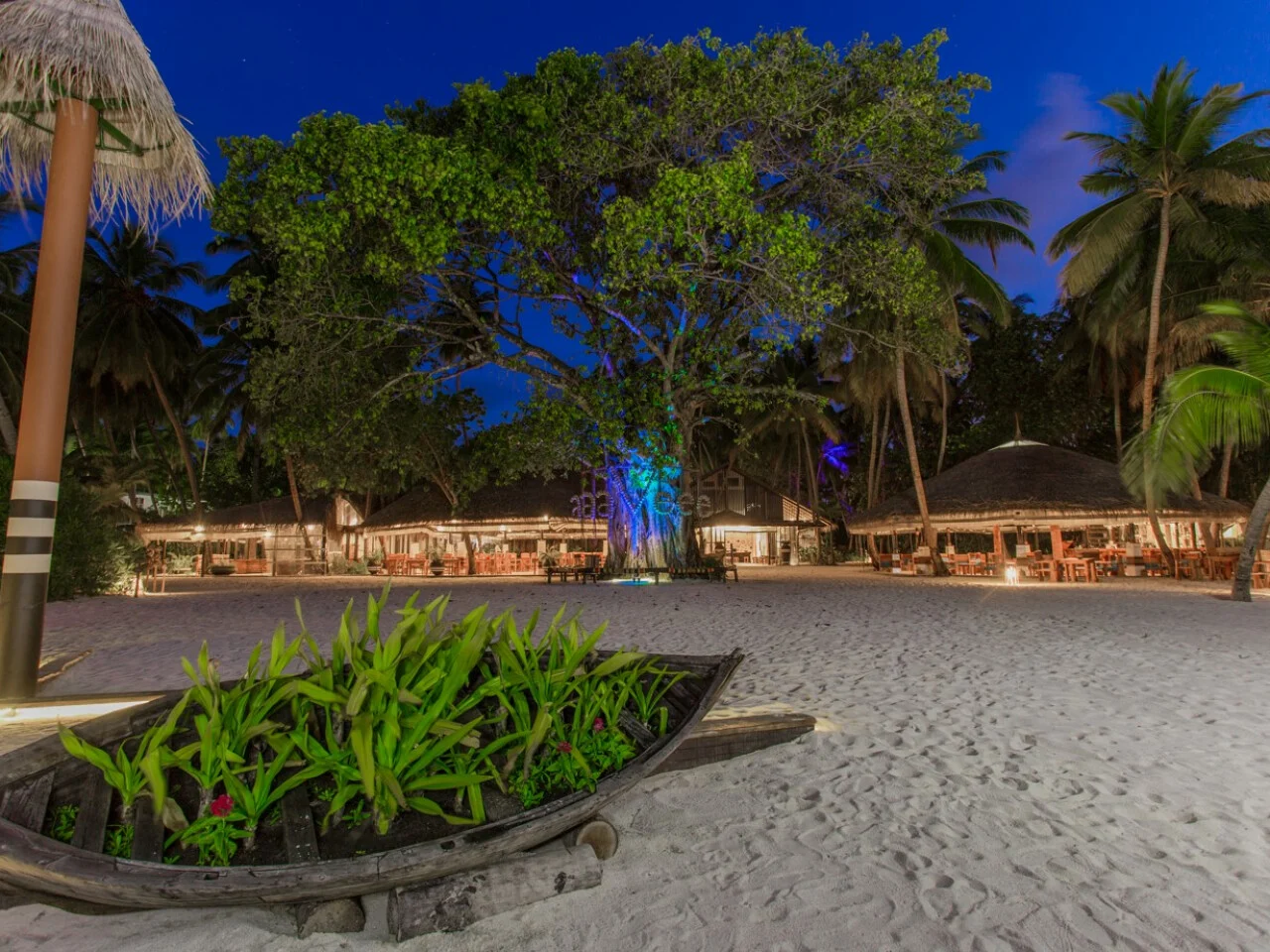 aaaVeee Nature's Paradise 4