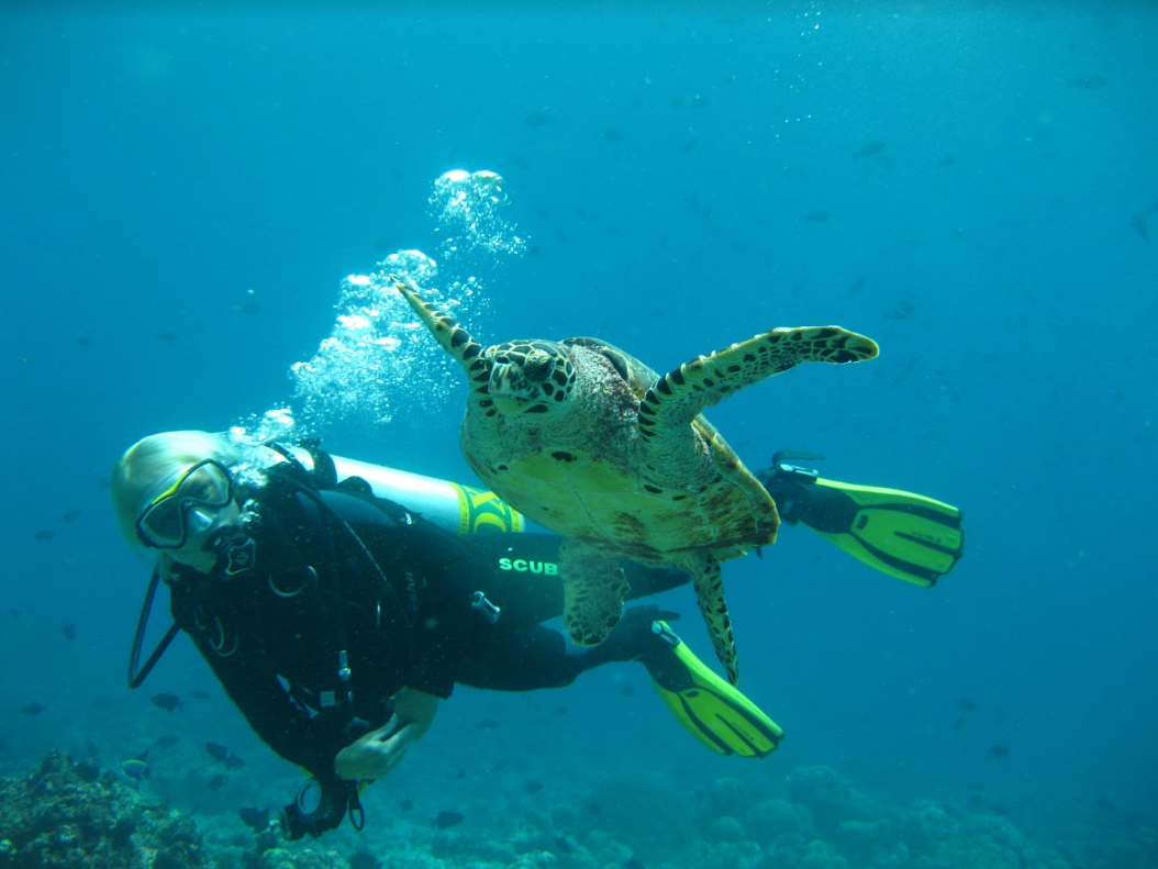 Adaaran Select Meedhupparu 3