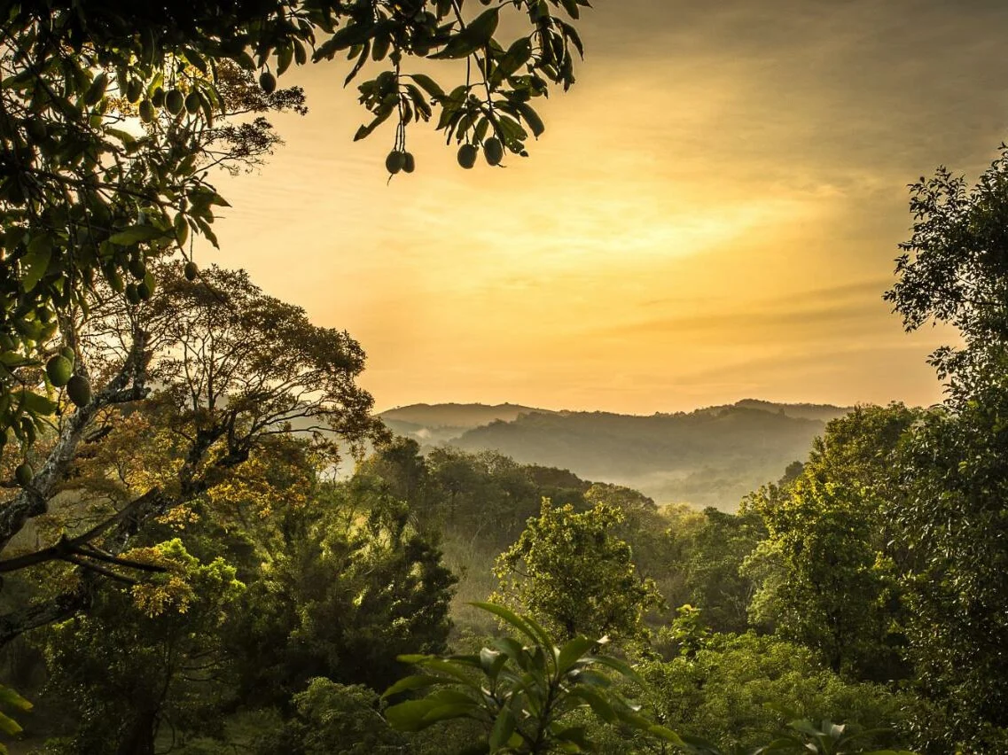 Ahaspokuna Bush Walks Camp 7