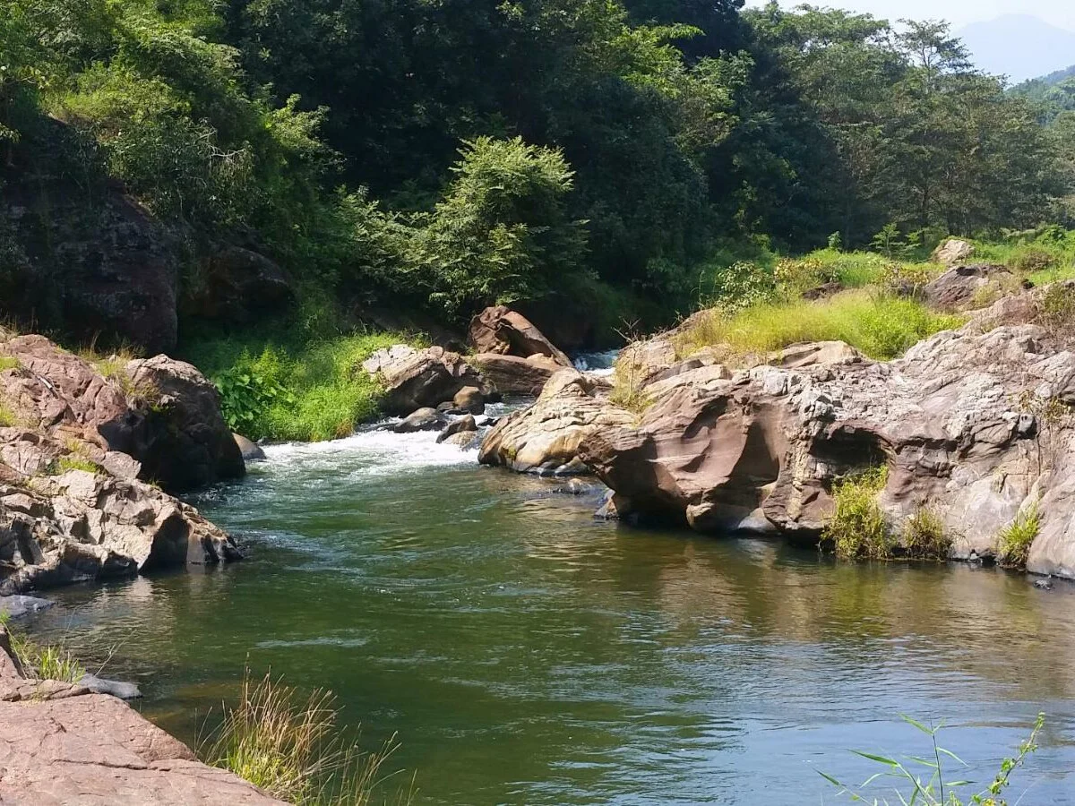 Ahaspokuna Bush Walks Camp 5