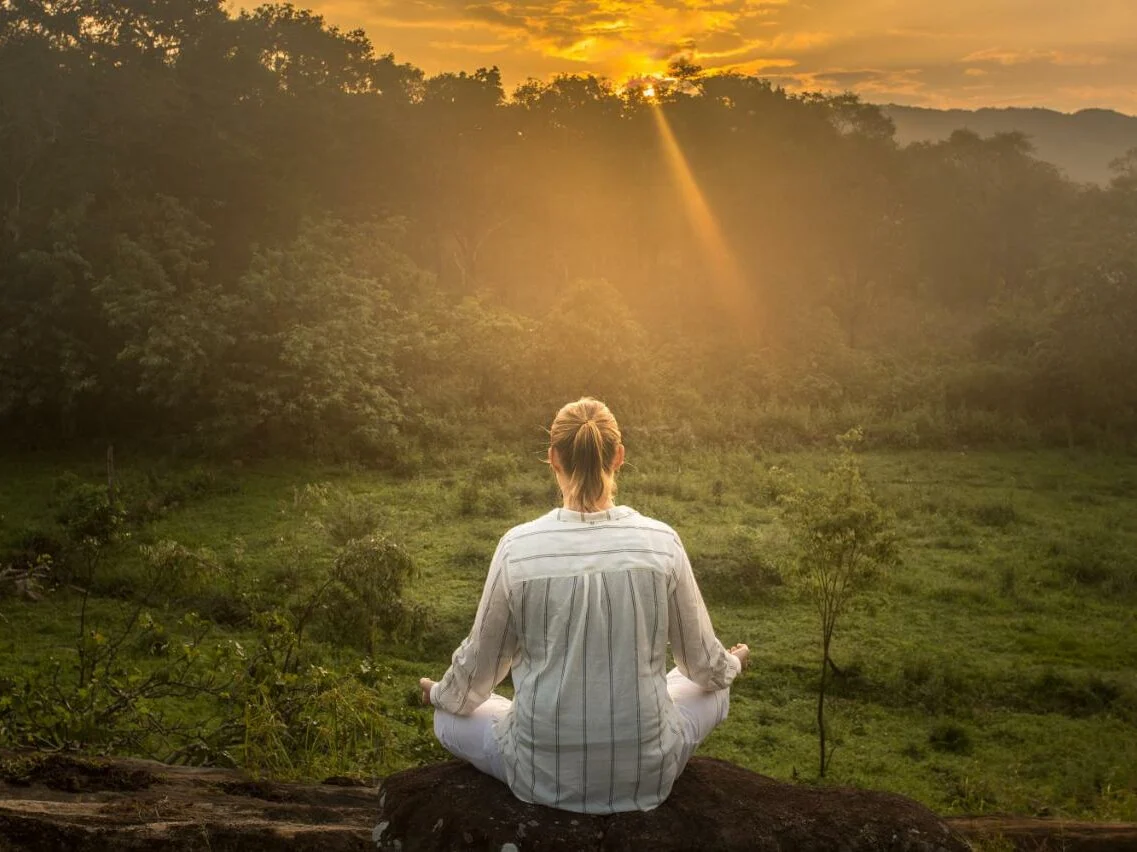 Ahaspokuna Bush Walks Camp 1