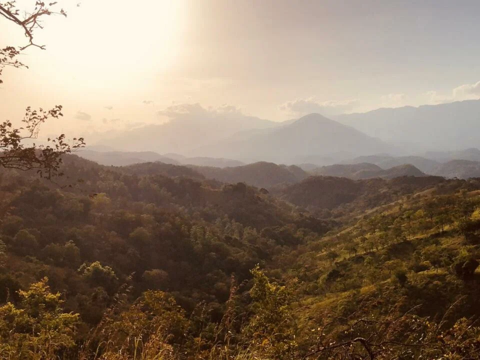 Ahaspokuna Bush Walks Camp 11