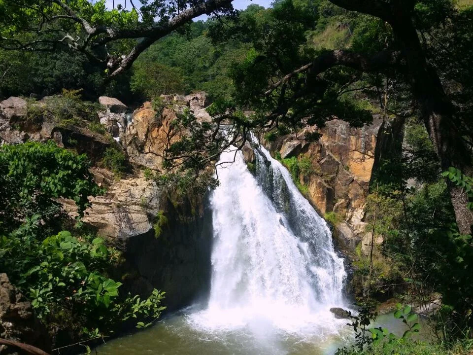 Ahaspokuna Bush Walks Camp 3