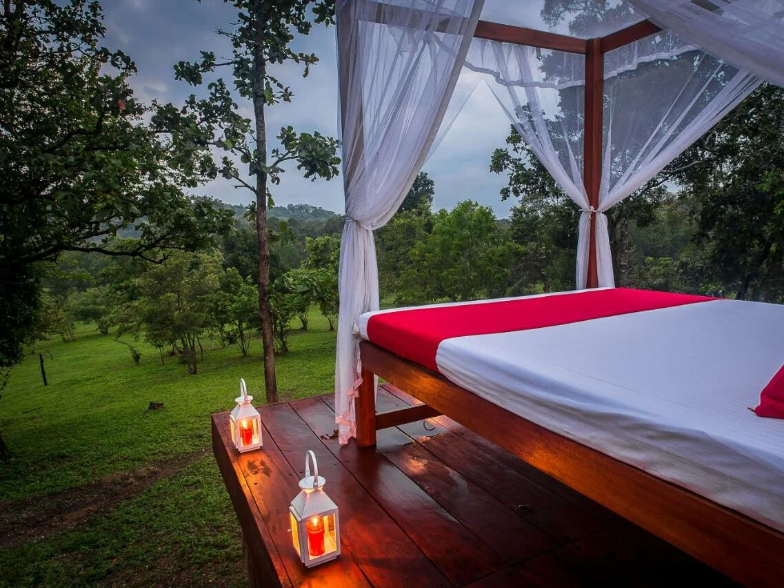 Ahaspokuna Bush Walks Camp 6