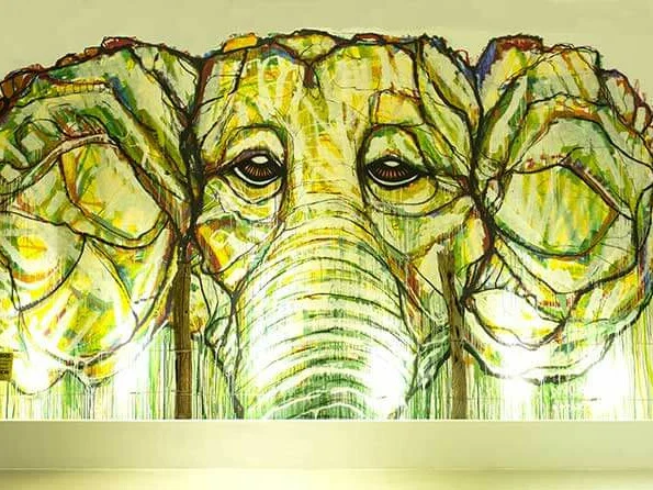 Aliya Resort & Spa 1