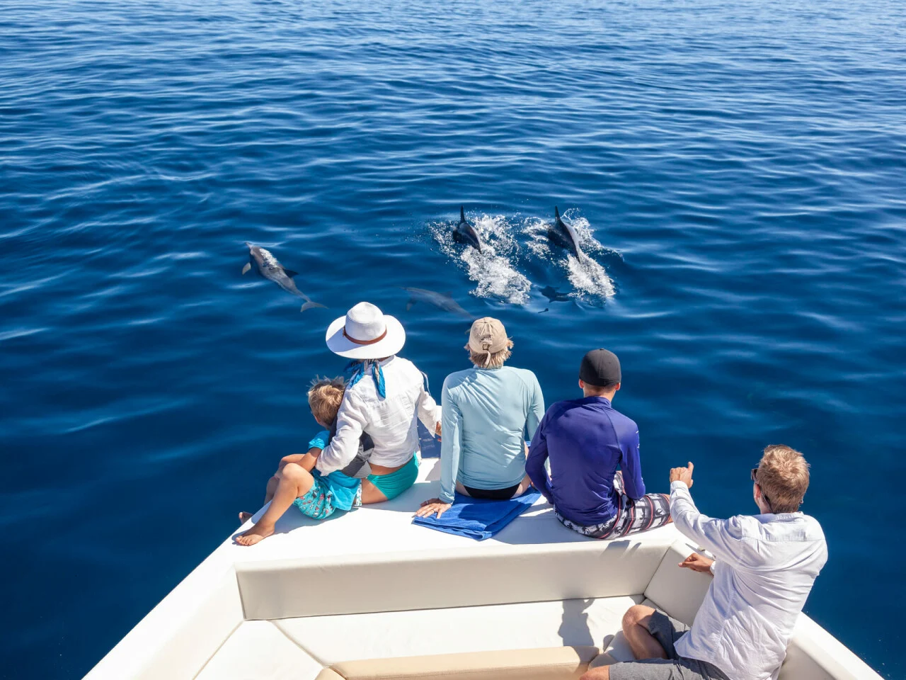 Alphonse Island Lodge 27