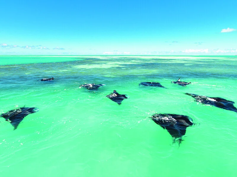 Alphonse Island Lodge 18