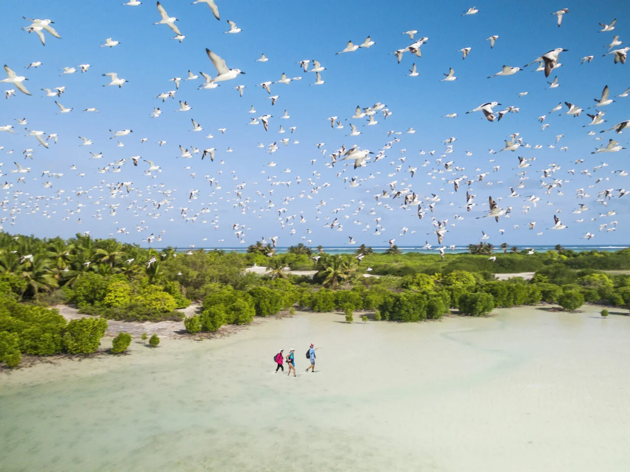 Alphonse Island Lodge 26