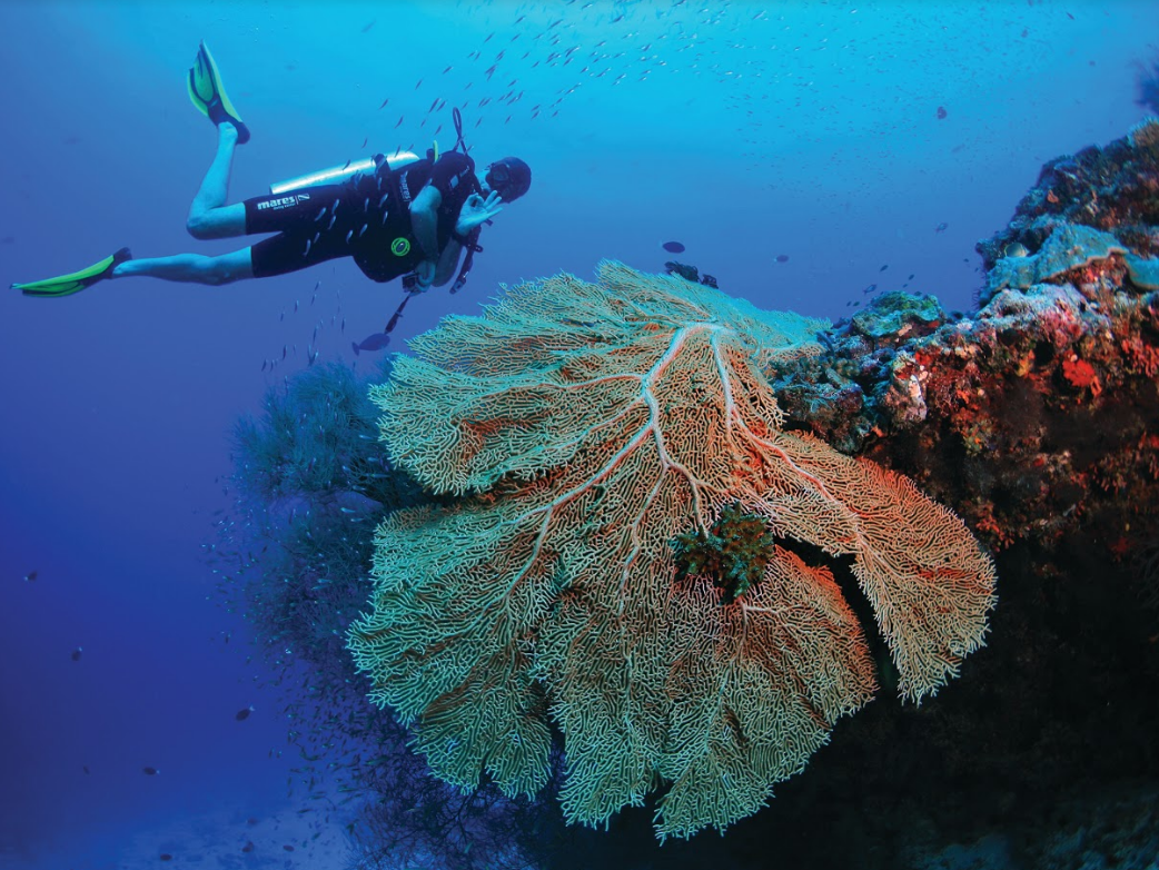 Amilla Maldives 15