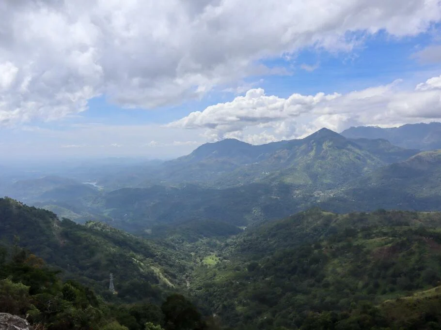 Anasa Wellness Resort 2