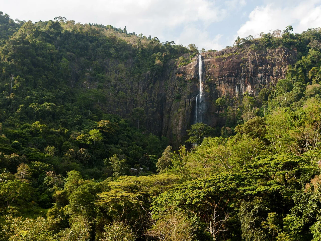 Anasa Wellness Resort 11