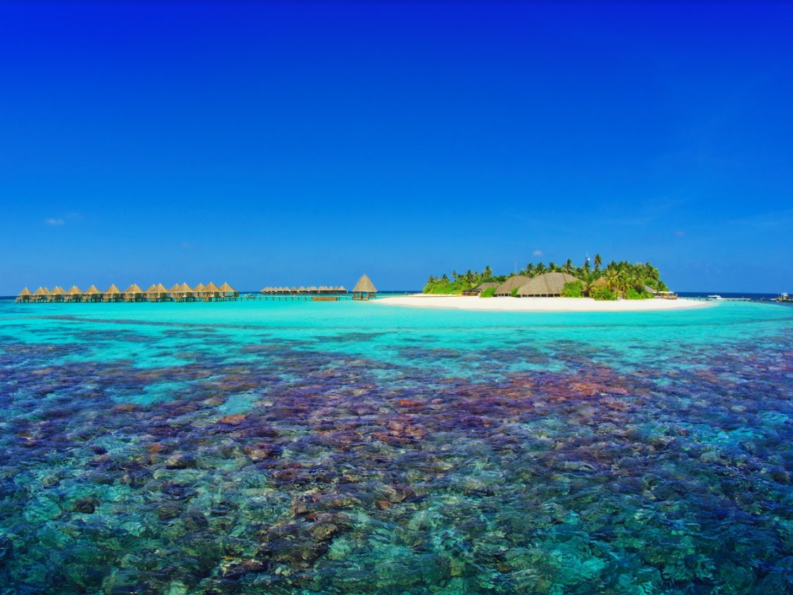 Angaga Island Resort & Spa Maldives 1