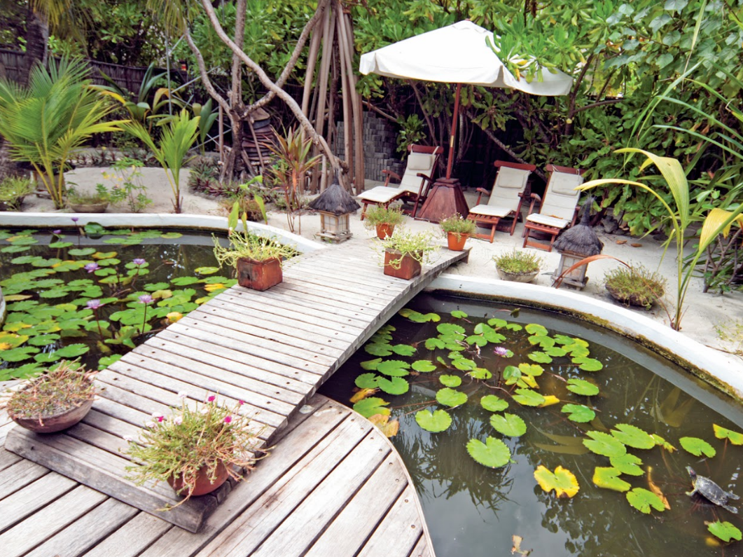 Angaga Island Resort & Spa Maldives 4