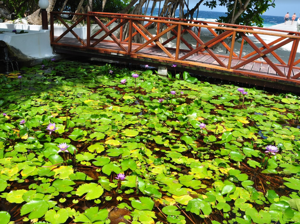Angaga Island Resort & Spa Maldives