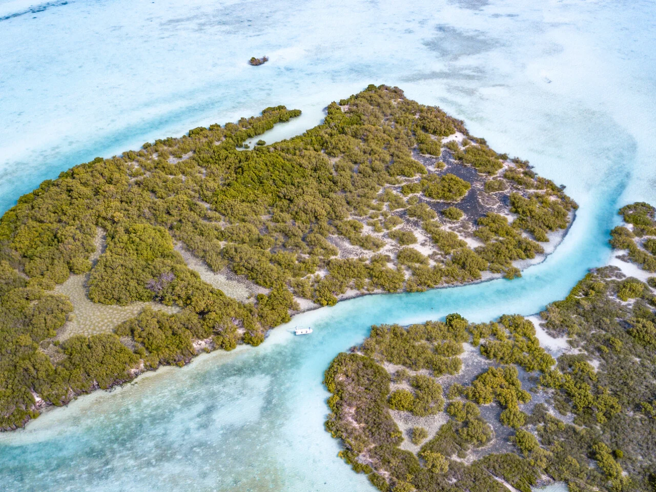 Astove Atoll 8