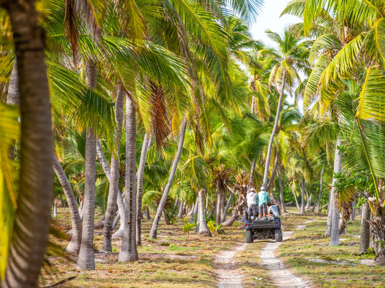 Astove Atoll 19