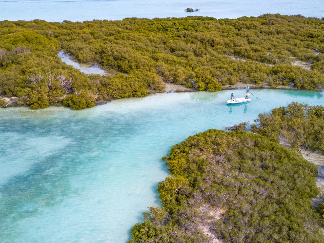 Astove Atoll 18