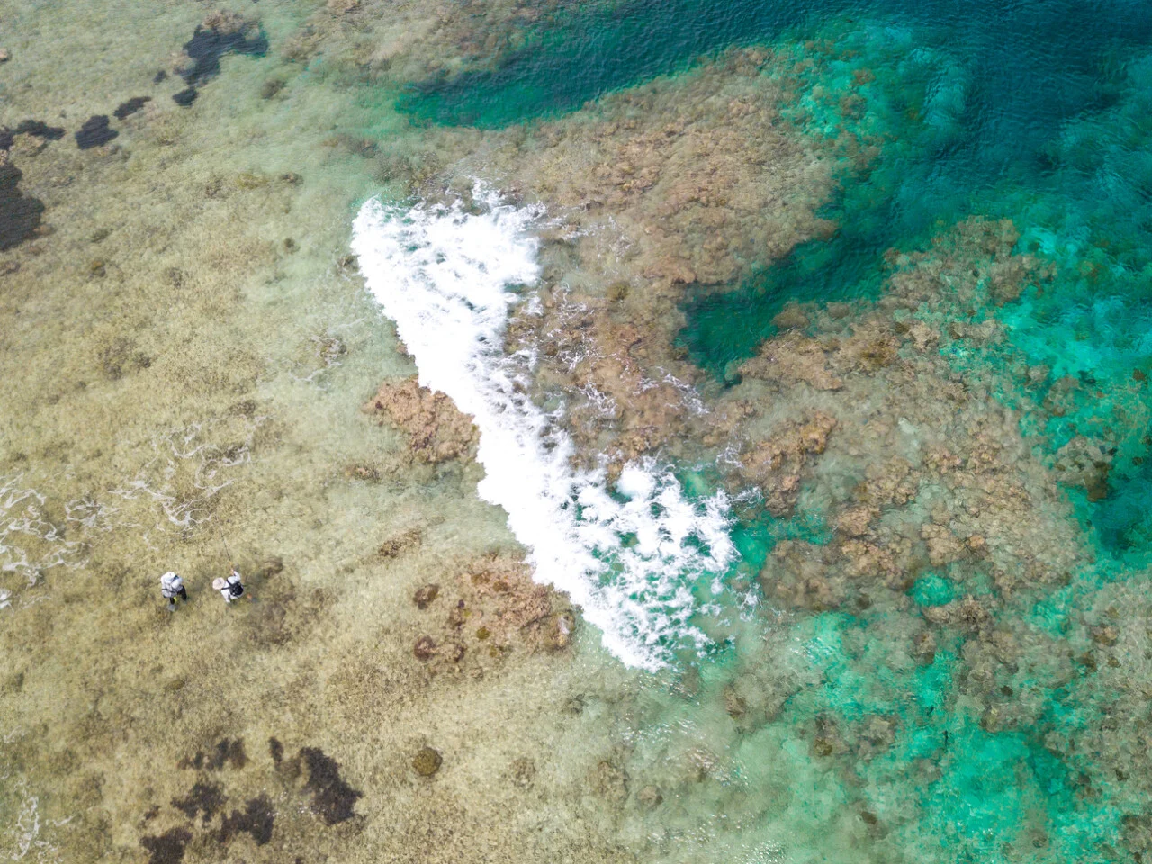 Astove Atoll 15