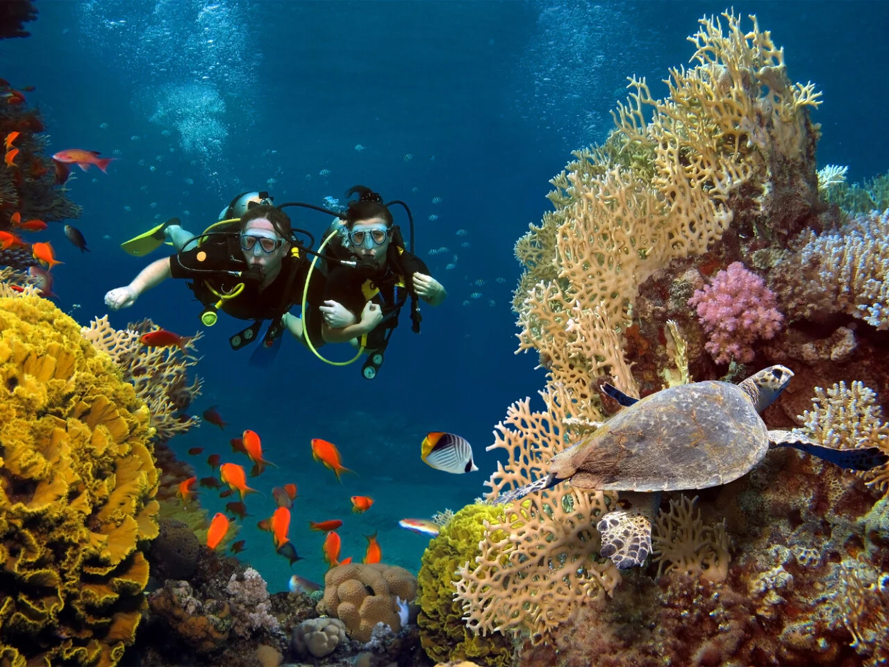 AVANI+ Fares Maldives 31