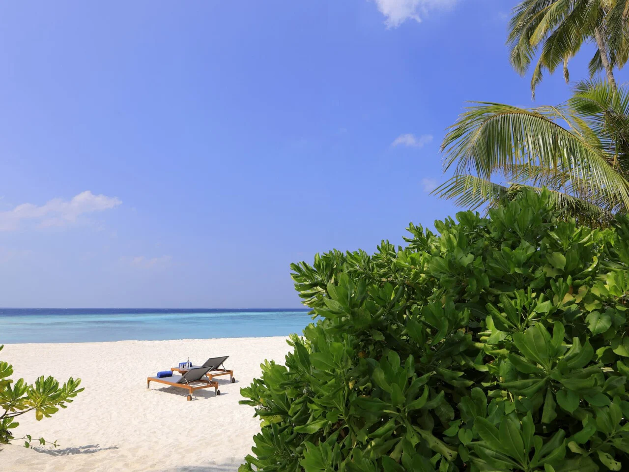 AVANI+ Fares Maldives 33